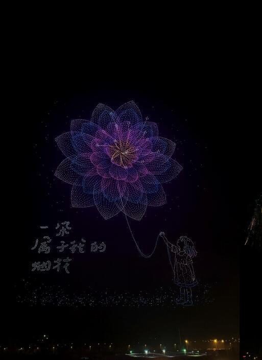浏阳纪录现场：一朵属于我的烟花 编队画面